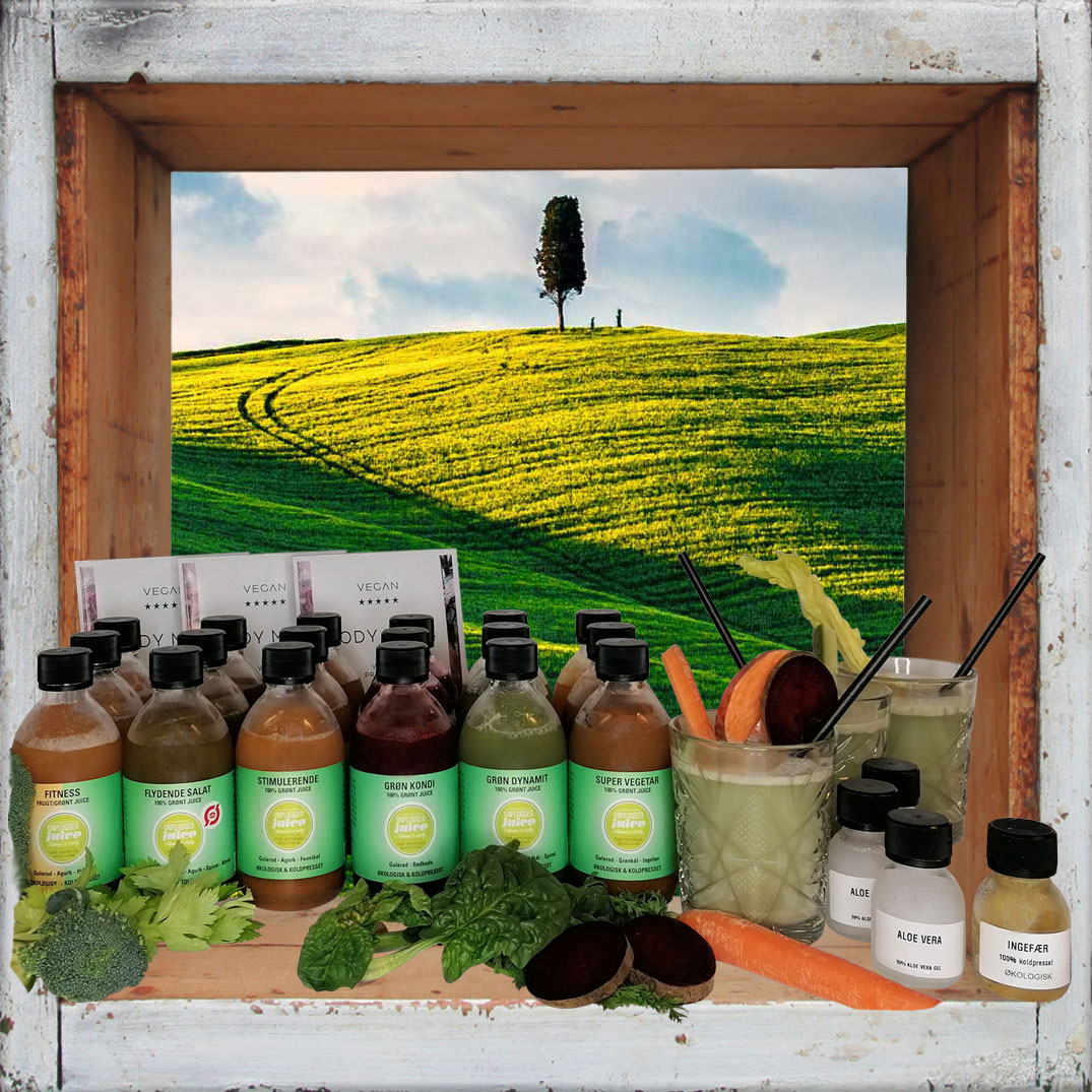 Advanced Juice Kur med 100% Økologiske Grøntsager